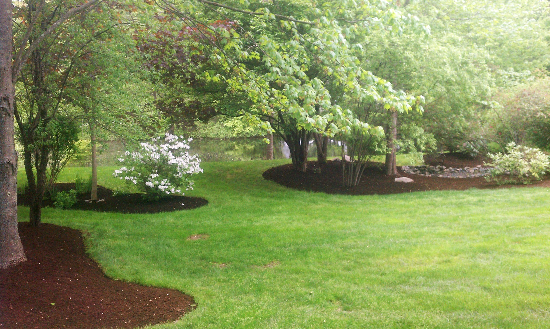 Home lands (30)